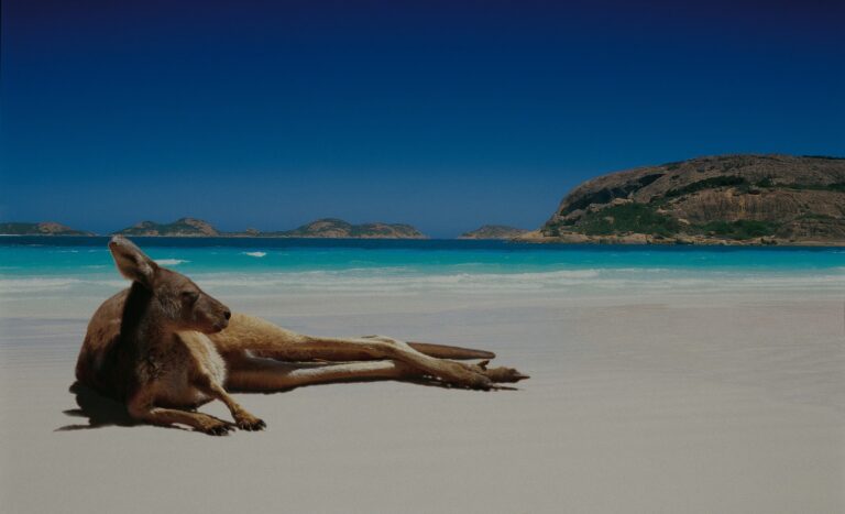 Australian visa for investors